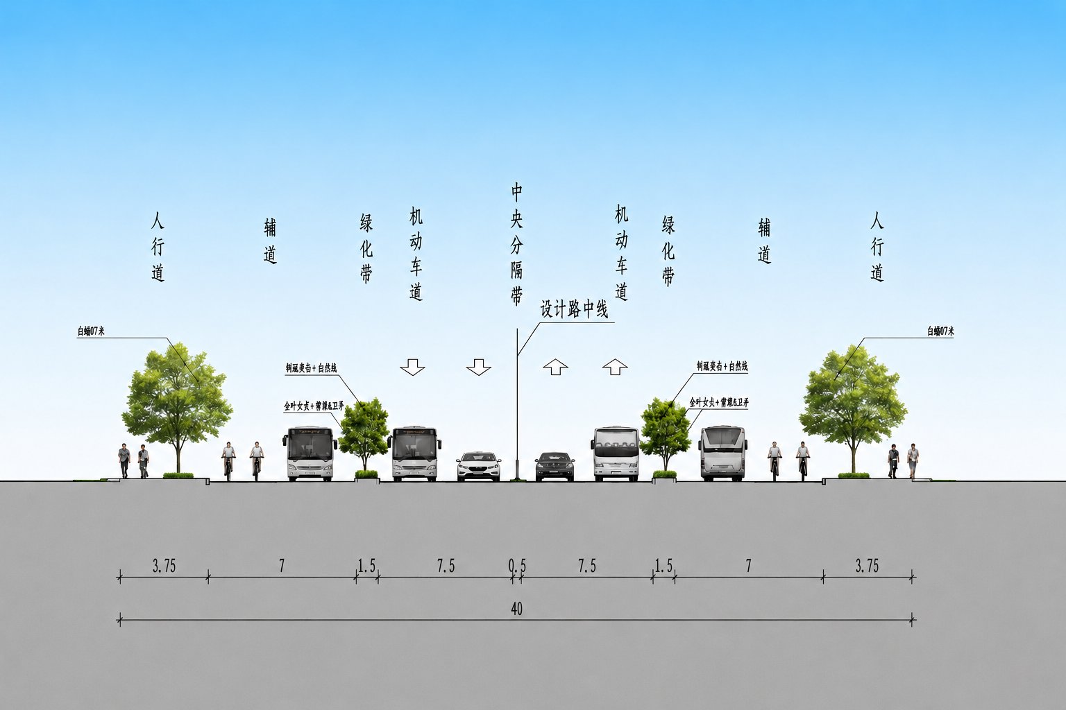 市政道路标准横断面